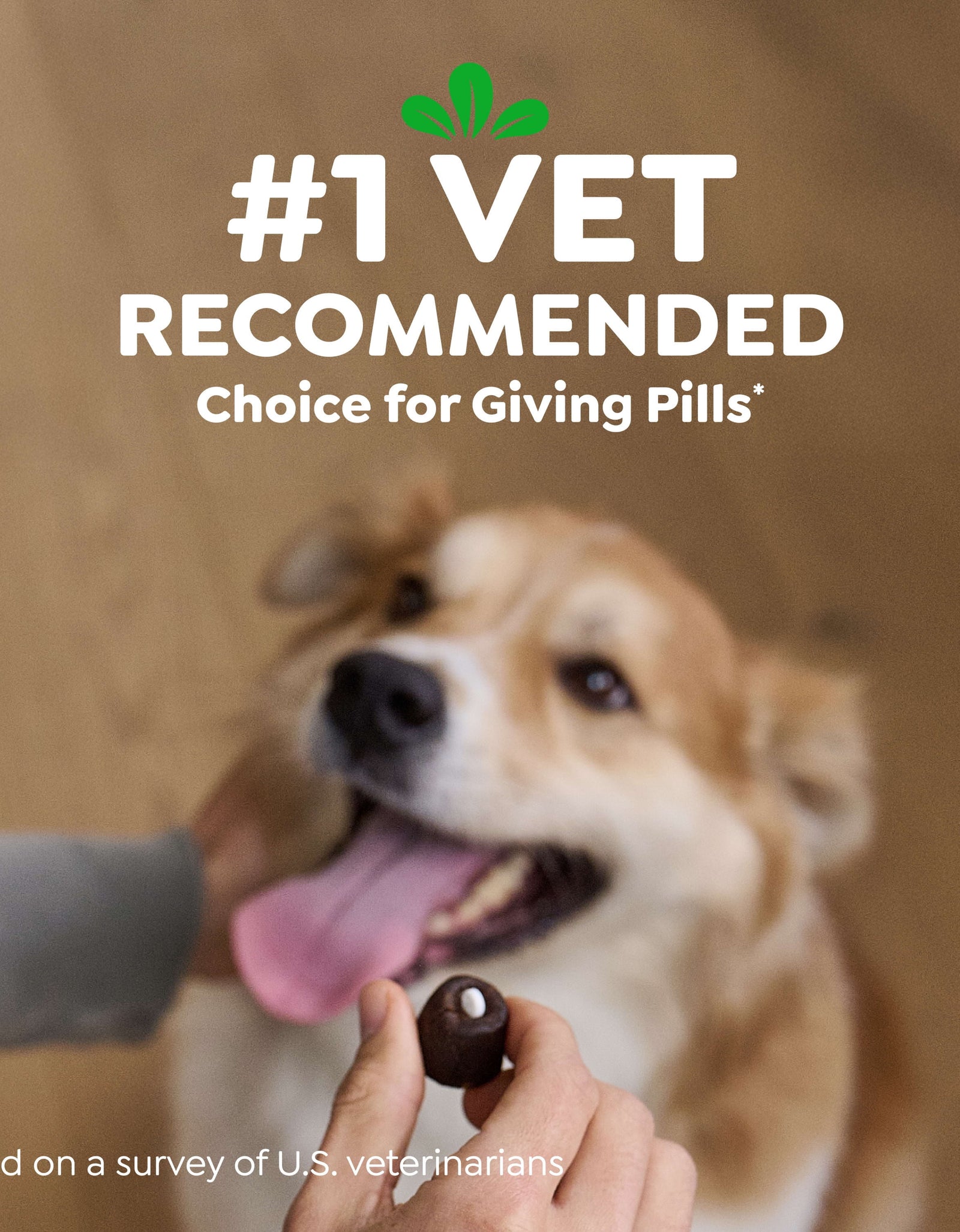 Pill Pockets for Dogs Chicken Flavor Large, Capsule Size Soft Dog Treats, 7.9 Oz, (30 Pk)